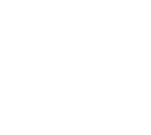 Love Happiness Freedom Foundation